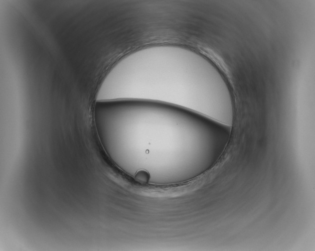 X0000112180017200908070949