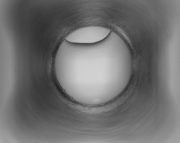 X0000112180018200908070949