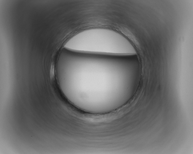 X0000112180021200908070949