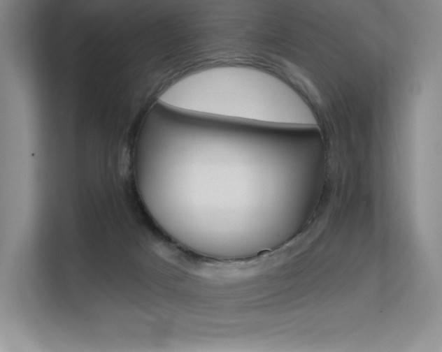 X0000112180025200908070949