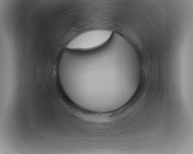 X0000112180032200908070949