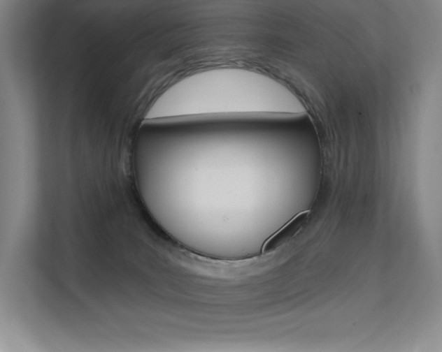 X0000112180035200908070949