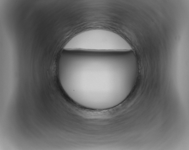 X0000112180036200908070949