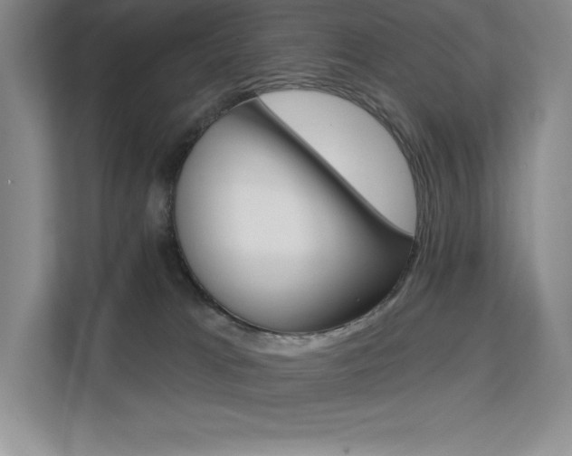 X0000112180037200908070949