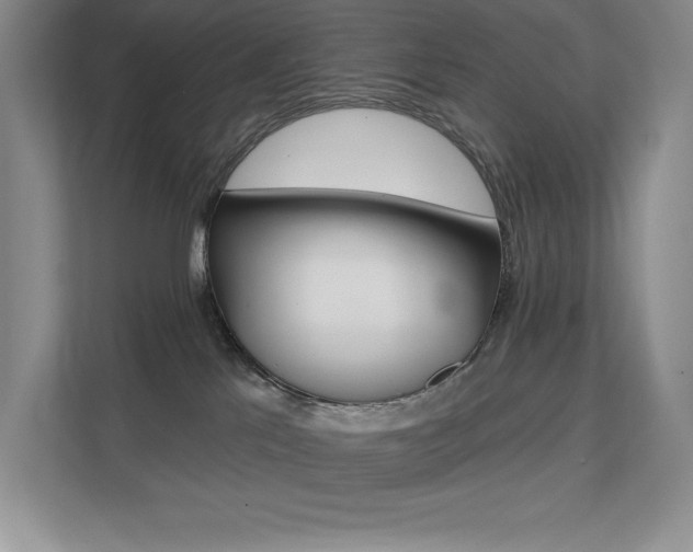 X0000112180041200908070949