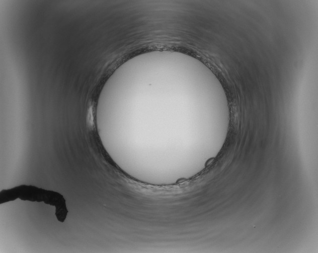 X0000112180042200908070949