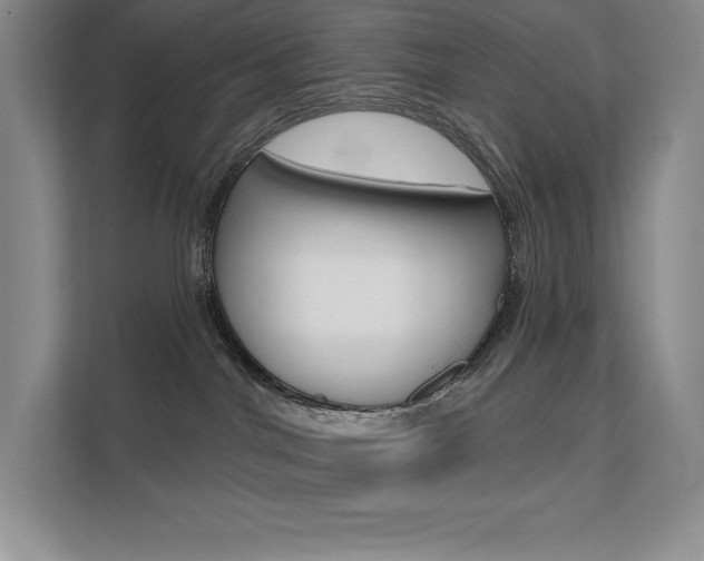 X0000112180044200908070949