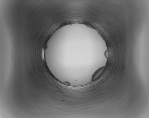 X0000112180046200908070949