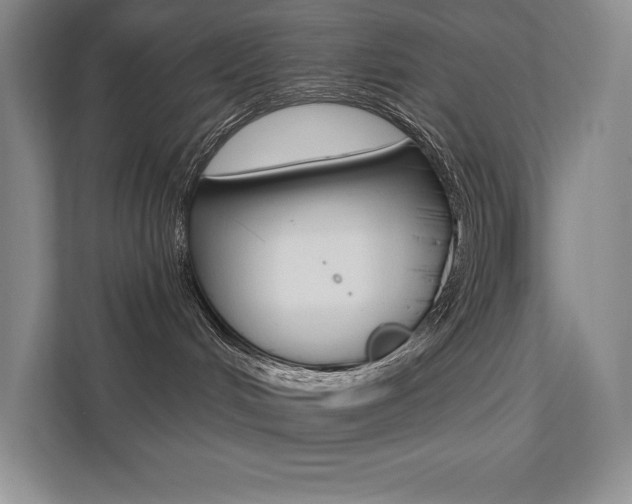 X0000112180048200908070949