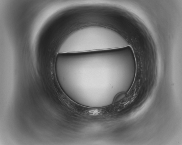 X0000112180050200908070948