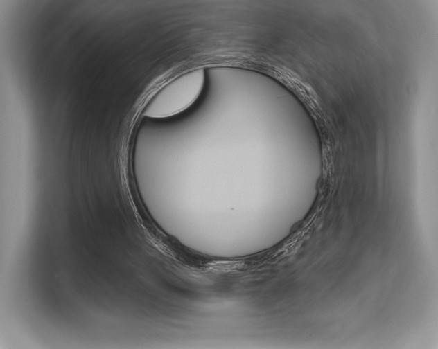 X0000112180051200908070948