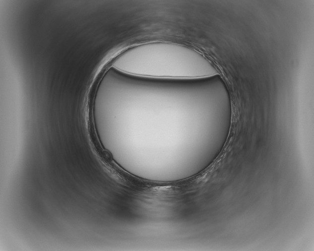 X0000112180054200908070948