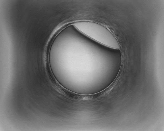 X0000112180056200908070948