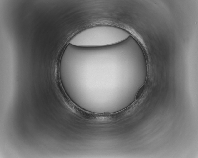 X0000112180057200908070948