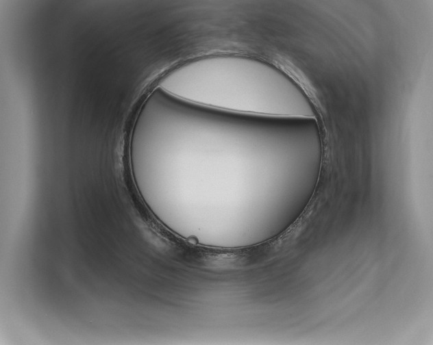 X0000112180058200908070948