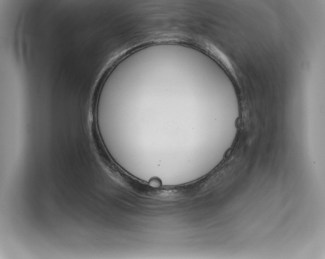 X0000112180059200908070948