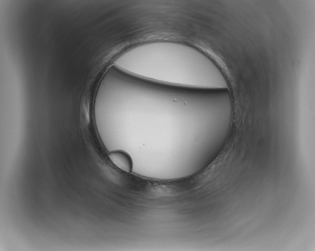 X0000112180062200908070948