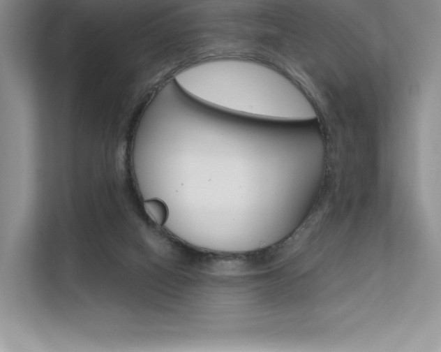 X0000112180066200908070948