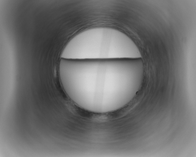 X0000112180075200908070949