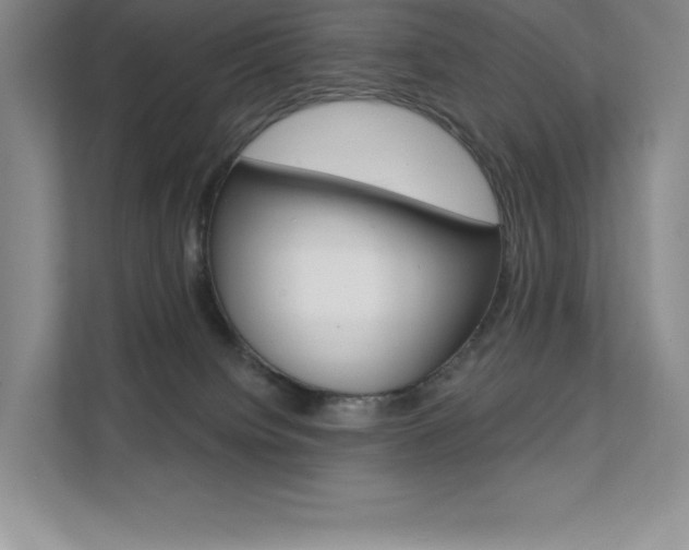 X0000112180084200908070949