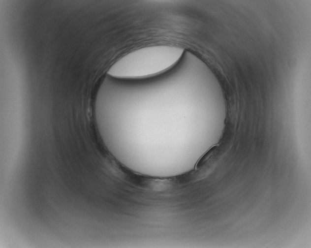 X0000112180085200908070949