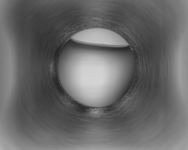 X0000112180088200908070949