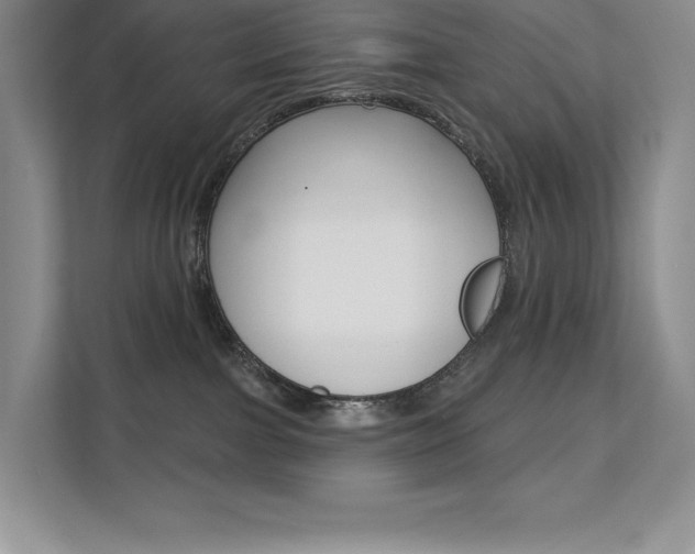 X0000112180091200908070949