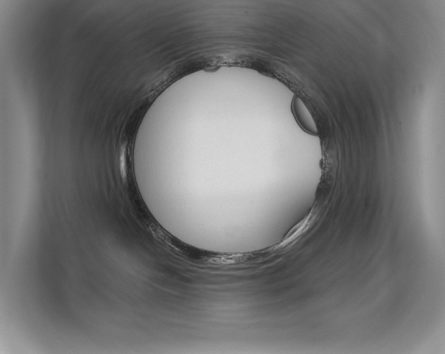 X0000112180094200908070949