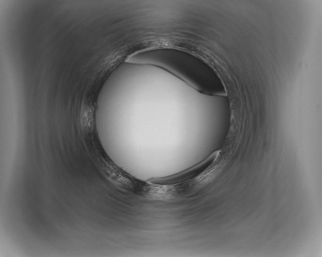 X0000112180096200908070949