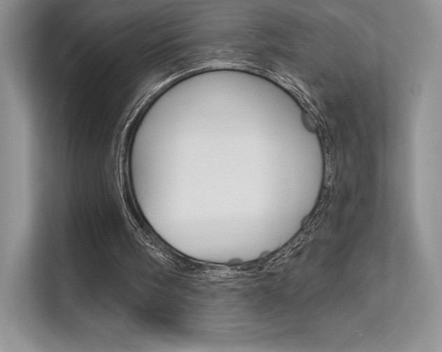 X0000112180098200908070948