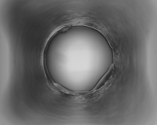 X0000112180100200908070948