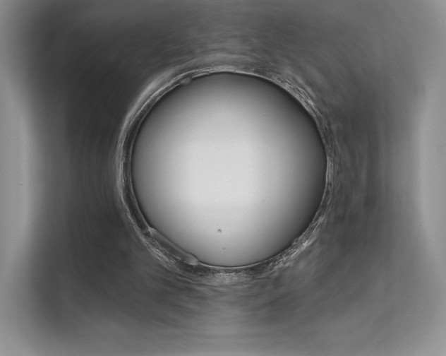 X0000112180101200908070948