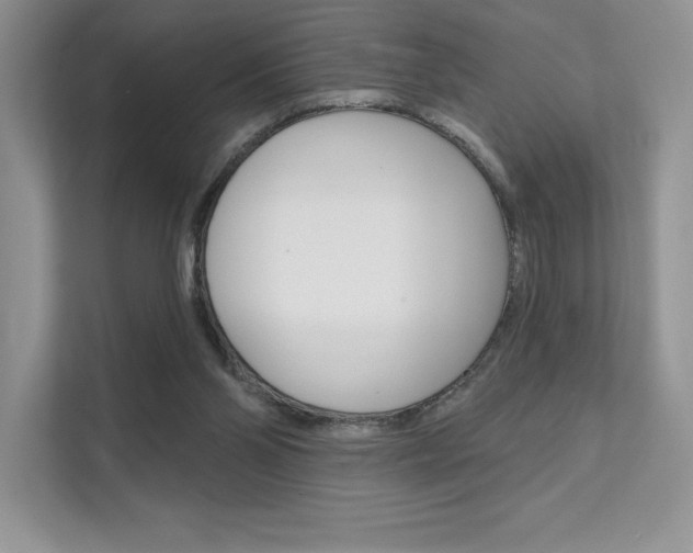 X0000112180110200908070948