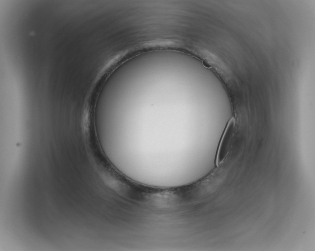 X0000112180112200908070948