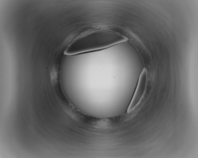 X0000112180124200908070948