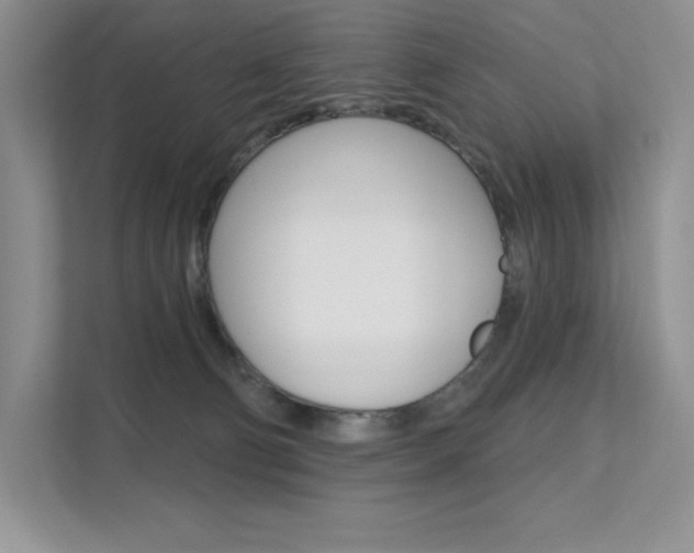 X0000112180130200908070948