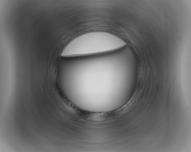 X0000112180136200908070948