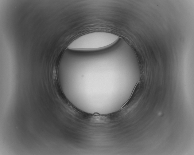 X0000112180137200908070948