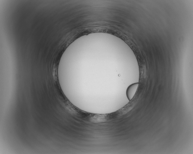 X0000112180138200908070948