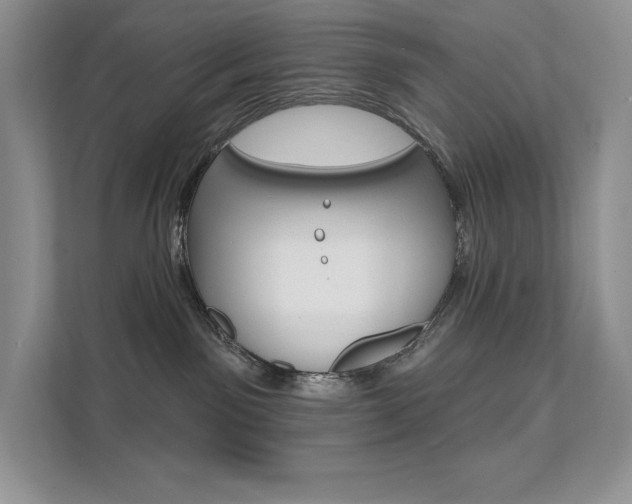 X0000112180141200908070948