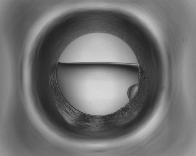 X0000112180143200908070948