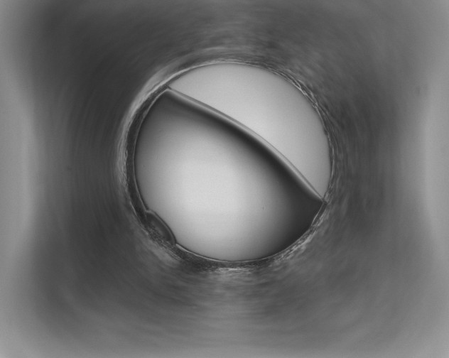 X0000112180150200908070947