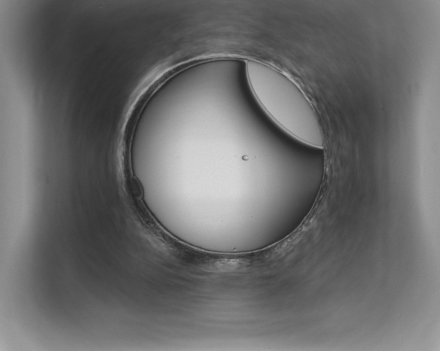 X0000112180152200908070947