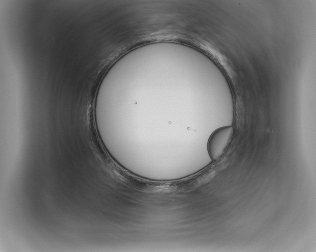 X0000112180153200908070947