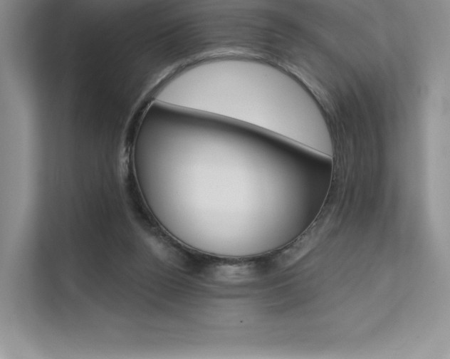 X0000112180160200908070947