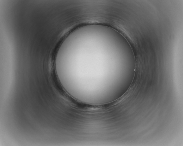 X0000112180164200908070947