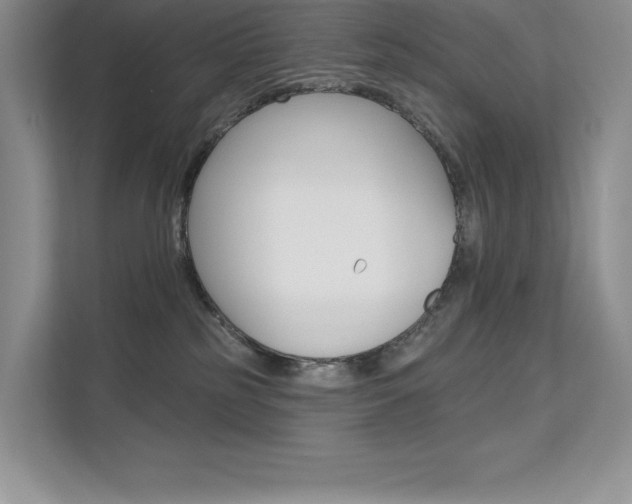 X0000112180185200908070948