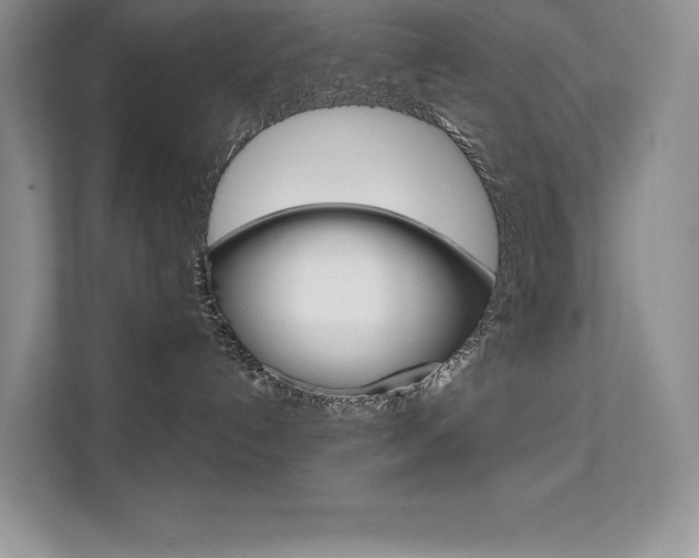 X0000112180192200908070948