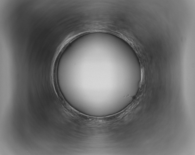 X0000112180195200908070947