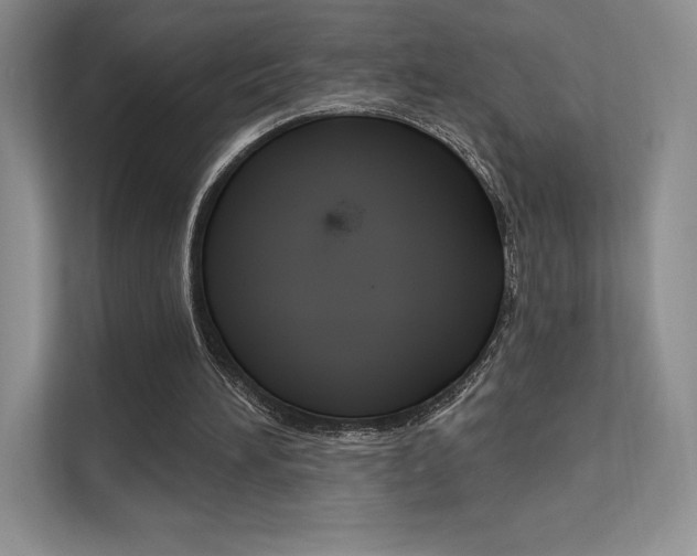 X0000112180196200908070947